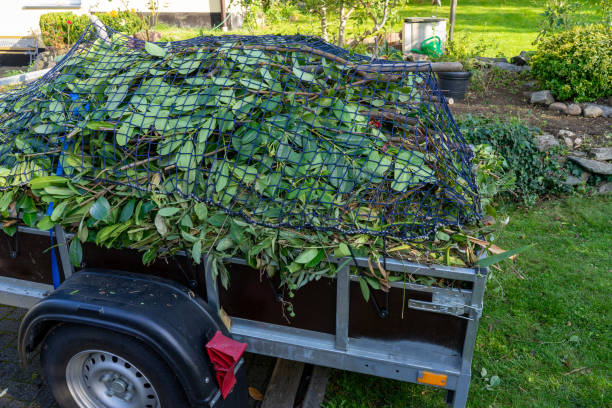 Best Scrap Metal Removal  in Woodfin, NC